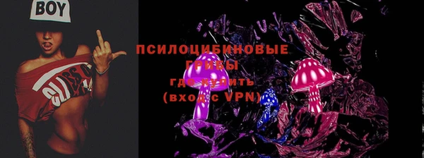 ПСИЛОЦИБИНОВЫЕ ГРИБЫ Алексеевка