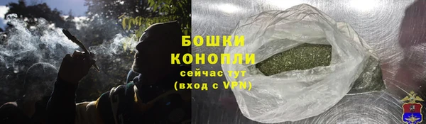 ПСИЛОЦИБИНОВЫЕ ГРИБЫ Алексеевка