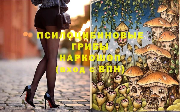 ПСИЛОЦИБИНОВЫЕ ГРИБЫ Алексеевка