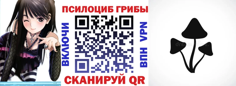 Псилоцибиновые грибы мицелий  Лермонтов 